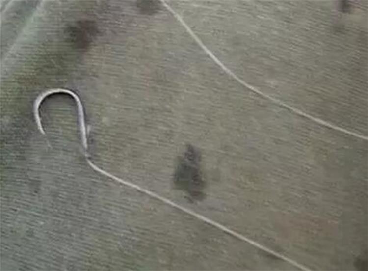 有鱼上钩却总脱钩，问题出在哪？