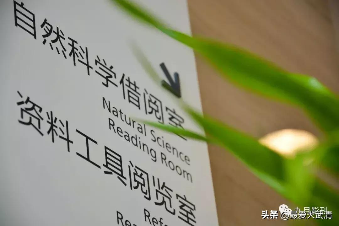 爱上武清从哪里开始,武清纪实