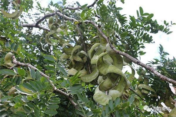 姊佹渤鐗硅壊缇庨,姊佹渤鐗硅壊缇庨鎺ㄨ崘