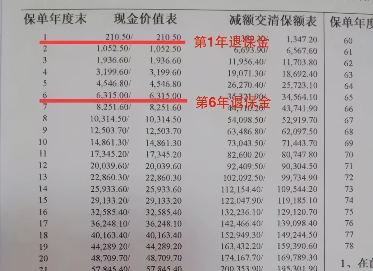 保单贷需要哪些条件,保单贷款指的什么