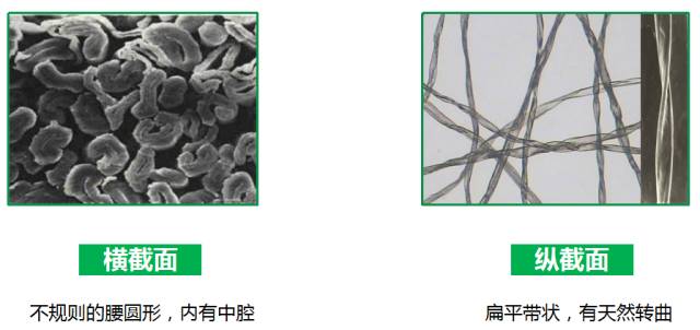 天丝棉和真丝的区别,天丝棉麻与棉料棉麻区别