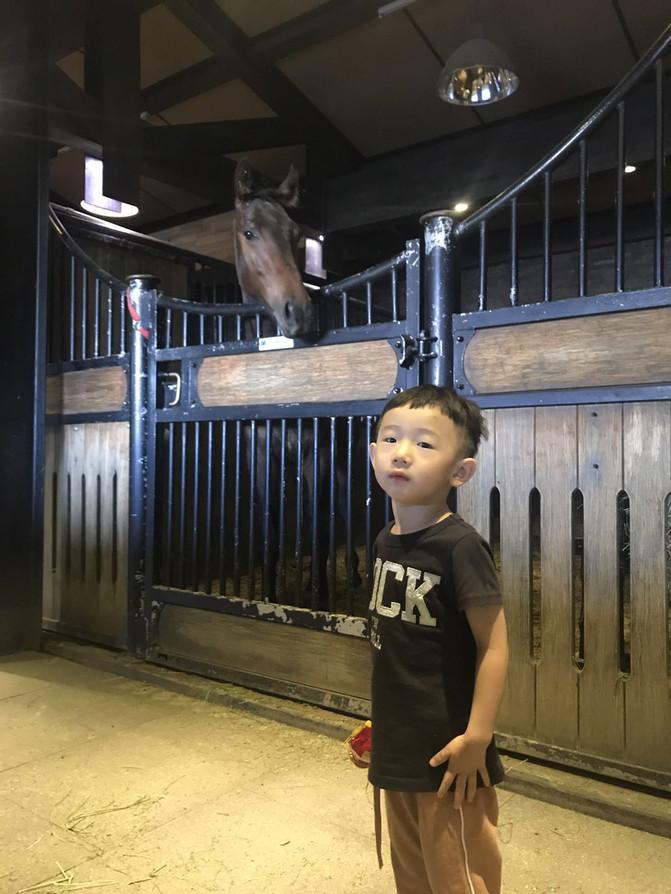 出游大美新疆第十四天,郑州周边2-3天短途旅游亲子11月