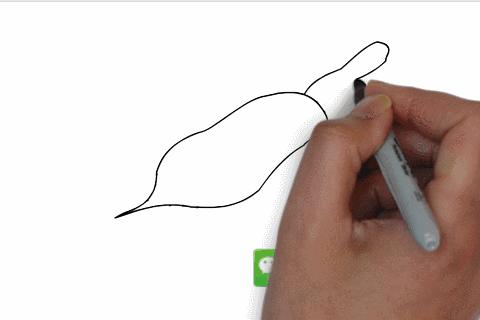 零基础教孩子画简笔画,适合新手的简笔100幅画