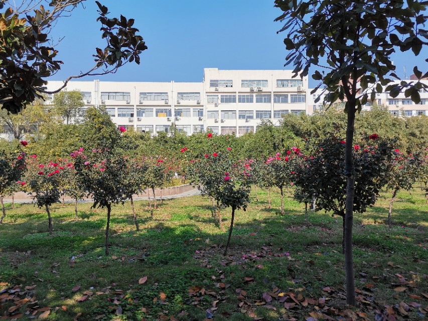 南阳理工学院,南阳理工学院全国真实排名
