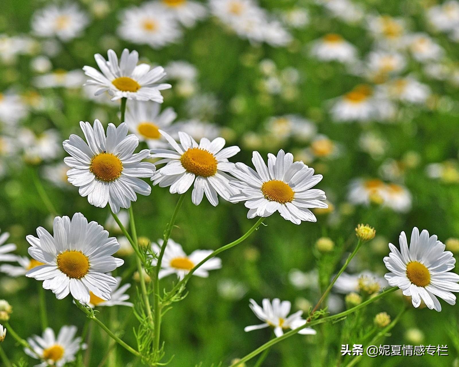 一封丈夫出轨的信,一封关于出轨的信