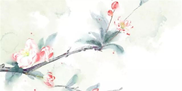 描写蝴蝶的超美短诗词,蝴蝶的诗句十首唯美