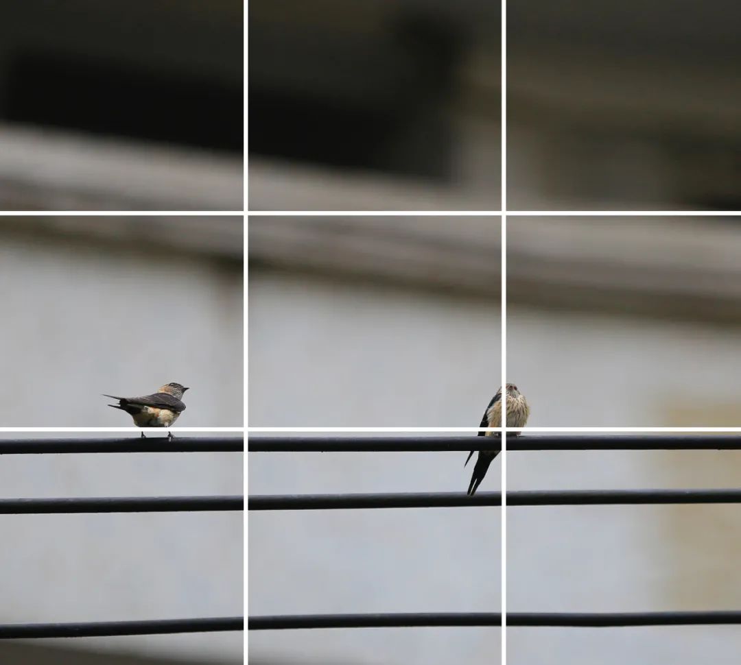 拍摄三分法构图技巧,构图三分法详解