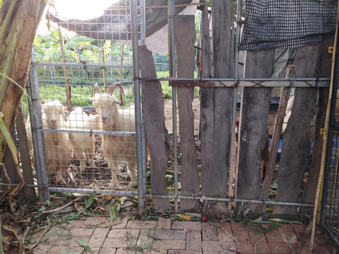 人气最旺的亲子农场,世外桃源亲子农场探店