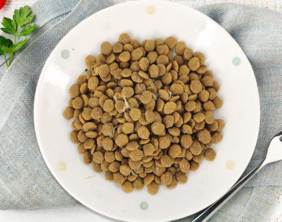 什么牌子的狗粮质量好吃又便宜,什么牌子的狗粮比较好又不贵