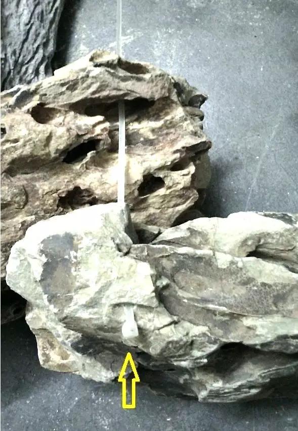 草缸造景教程：胶水造景太温柔，男人就该上电钻