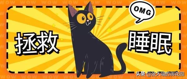 怎么解决让猫咪白天闹晚上睡觉,猫咪晚上太闹吵得休息不好怎么办