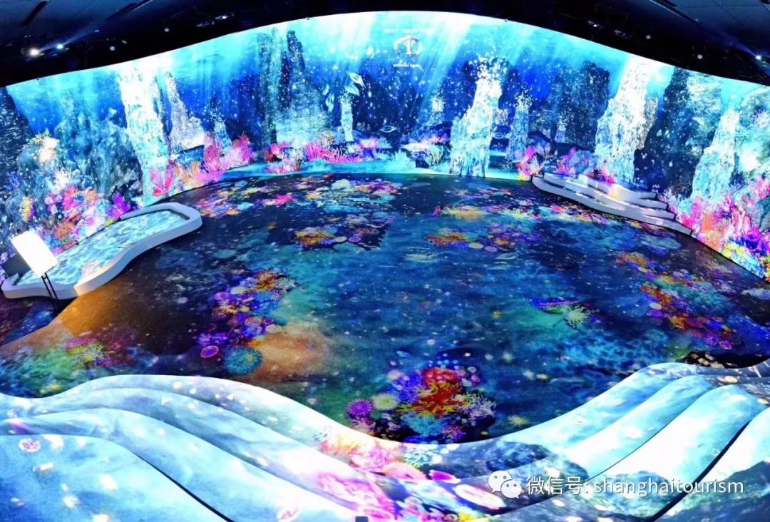 元旦假期上海精彩文旅活动指南，元气满满迎接2020