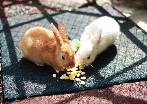 惠州大亚湾黄金海岸有岛吗,惠州金海湾海边在哪里