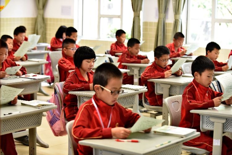 中新网探访恒大足校,央视报道恒大足校