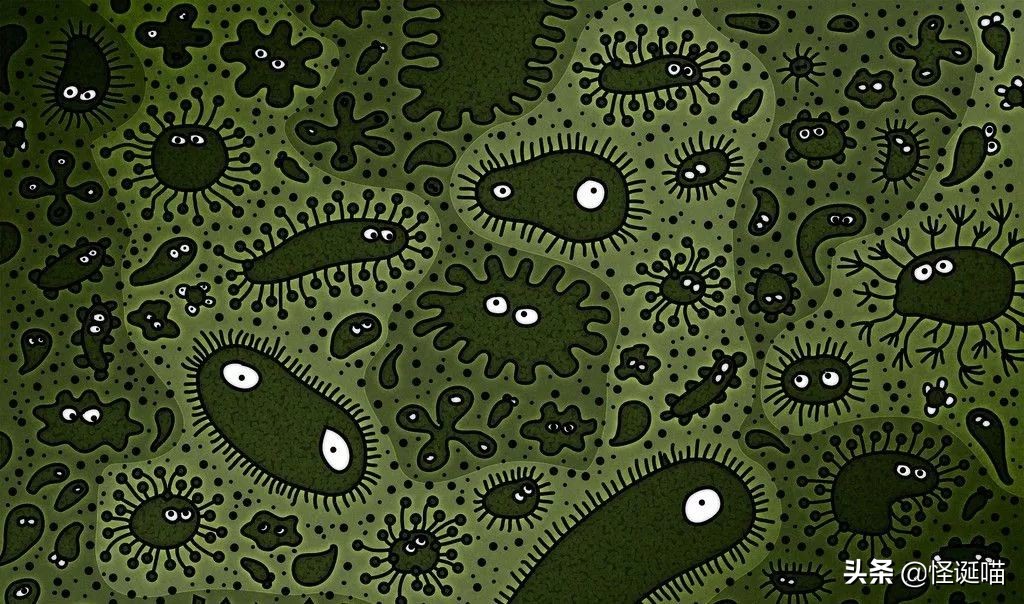 脑壳疼，薯片掉地上到底还能不能吃？