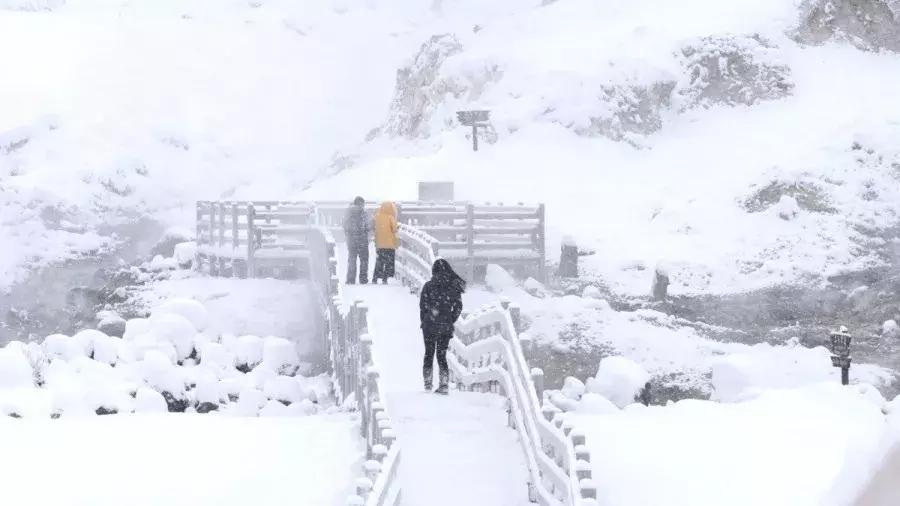 中国雪乡vs日本北海道雪景,日本北海道和东部雪乡哪个好