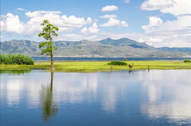 适合一个人去的大理民宿,大理游玩住哪里的民宿方便又便宜