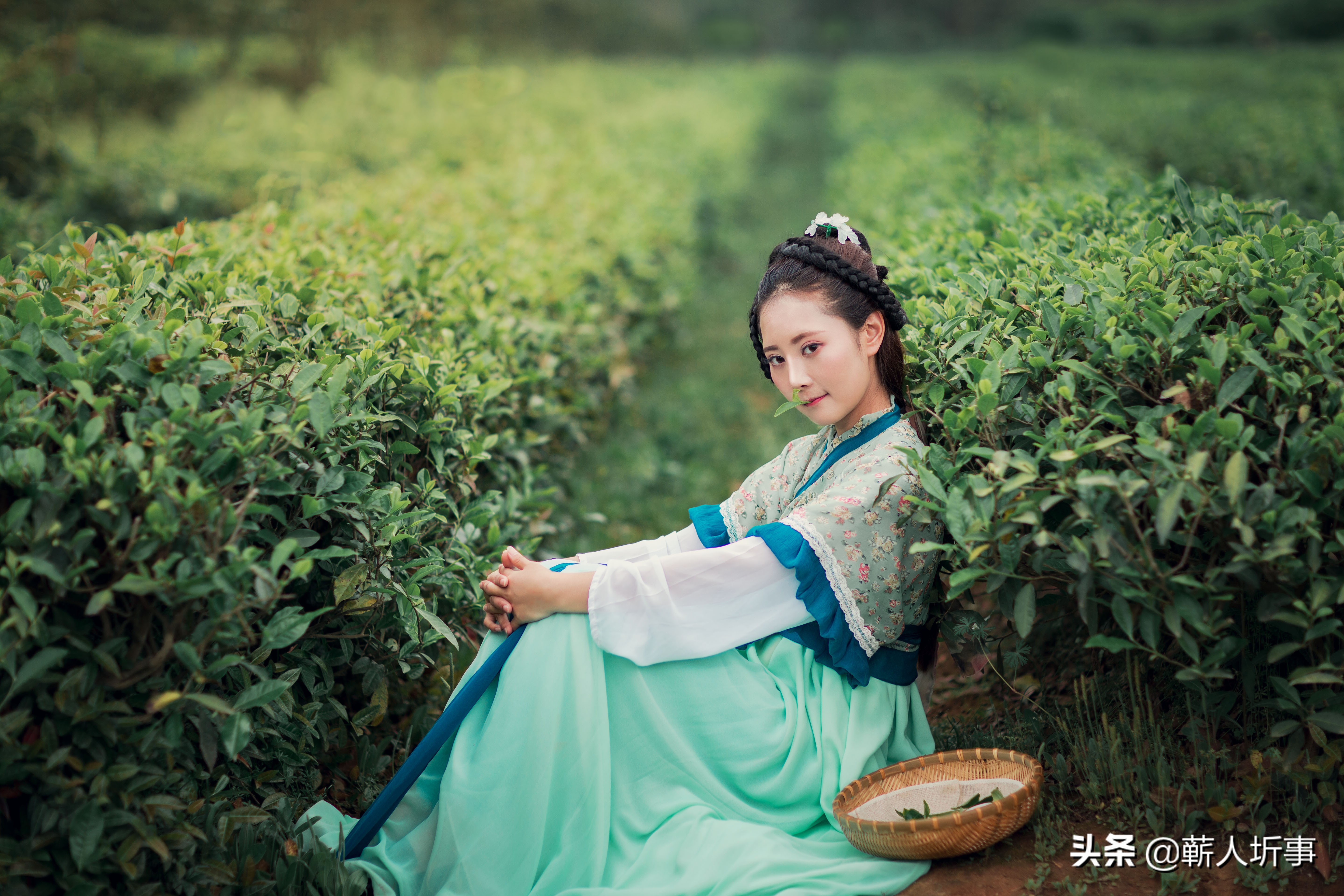 陈如诗词丨卷叶秋风瘦,吹开月上黄