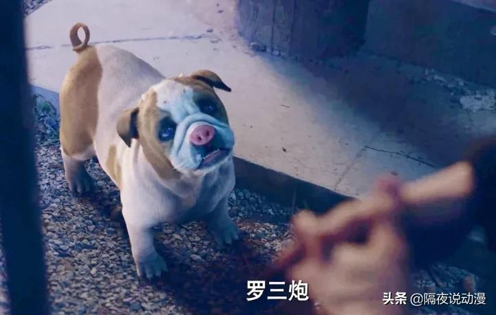 斗罗大陆央视二次定档,斗罗大陆真人播出