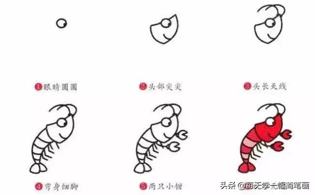 儿童海底动物简笔画大全简单,从海面到海底的简笔画