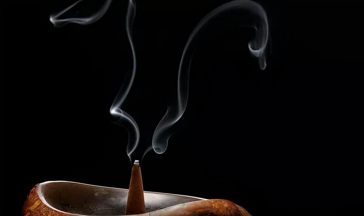 身价过亿的沉香种植小伙子,小伙投资五百万种300亩沉香