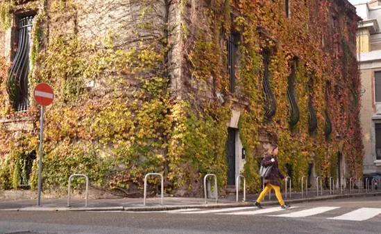 这些秘密你知道吗,这些秘密