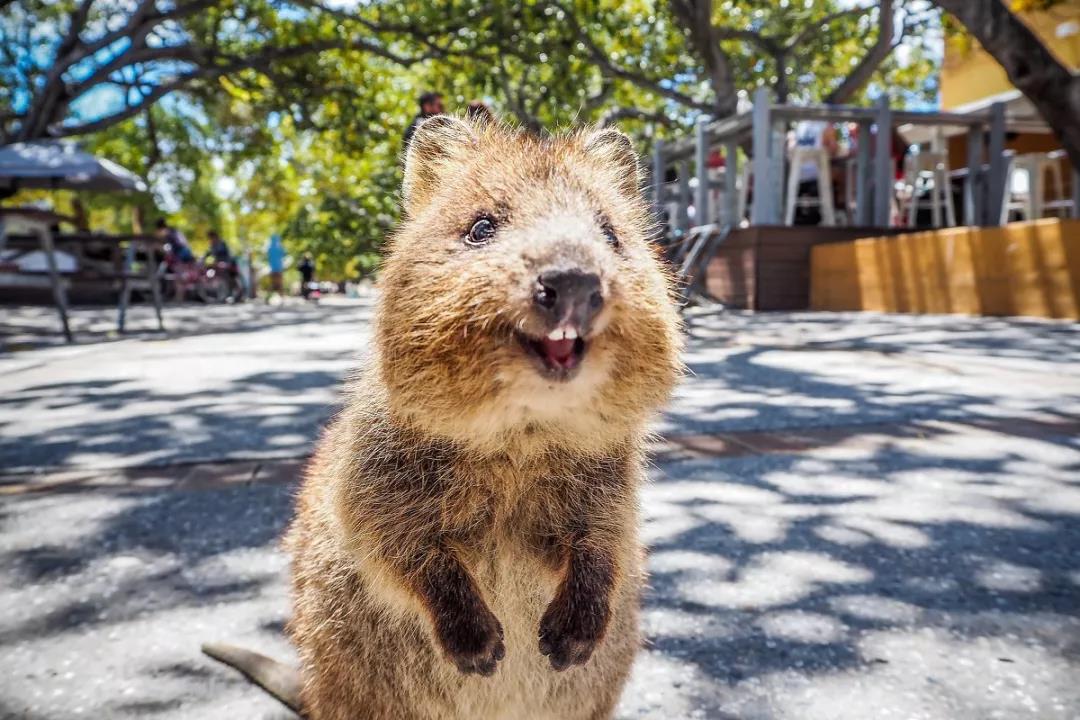 一定要去西澳吗,n个理由