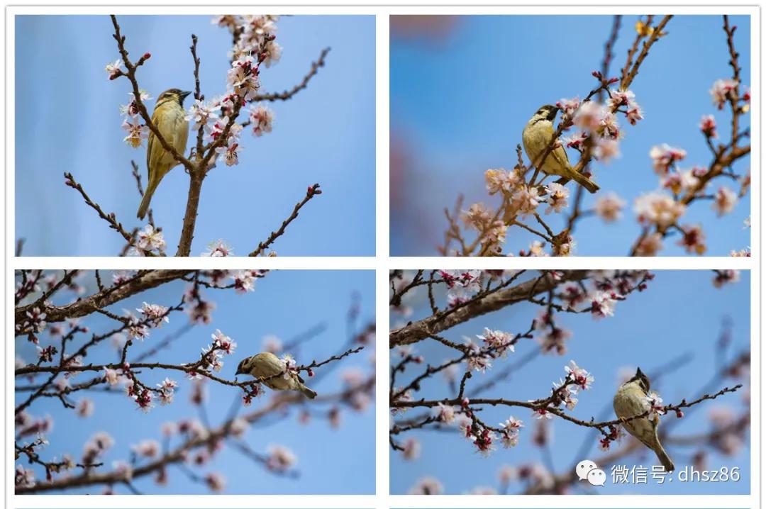 敦煌山庄游玩攻略,敦煌山庄旅游攻略