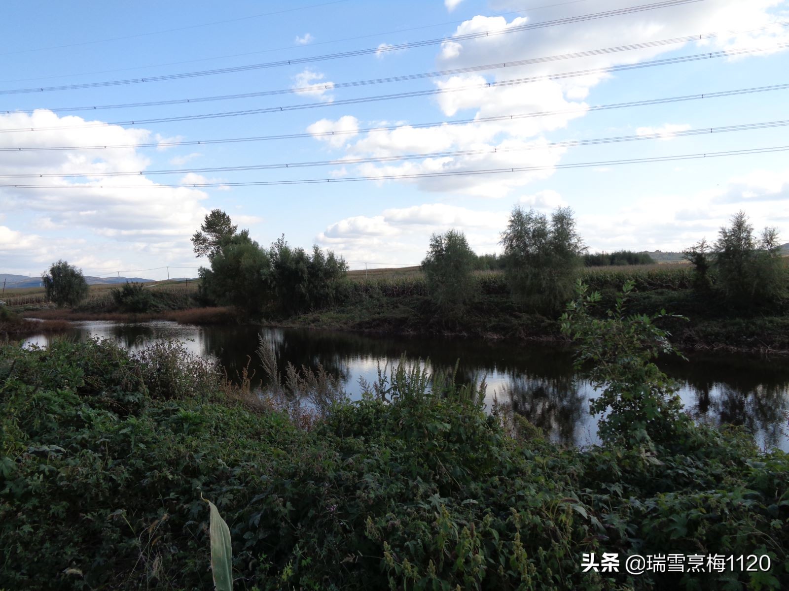 沈北新区依路村,沈北新区马刚乡地图