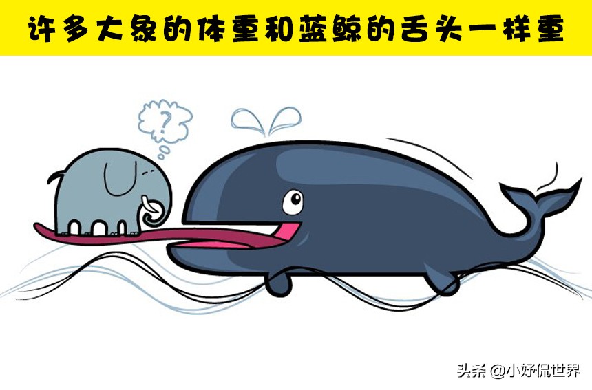 那些比书本有趣的冷知识,课本冷知识