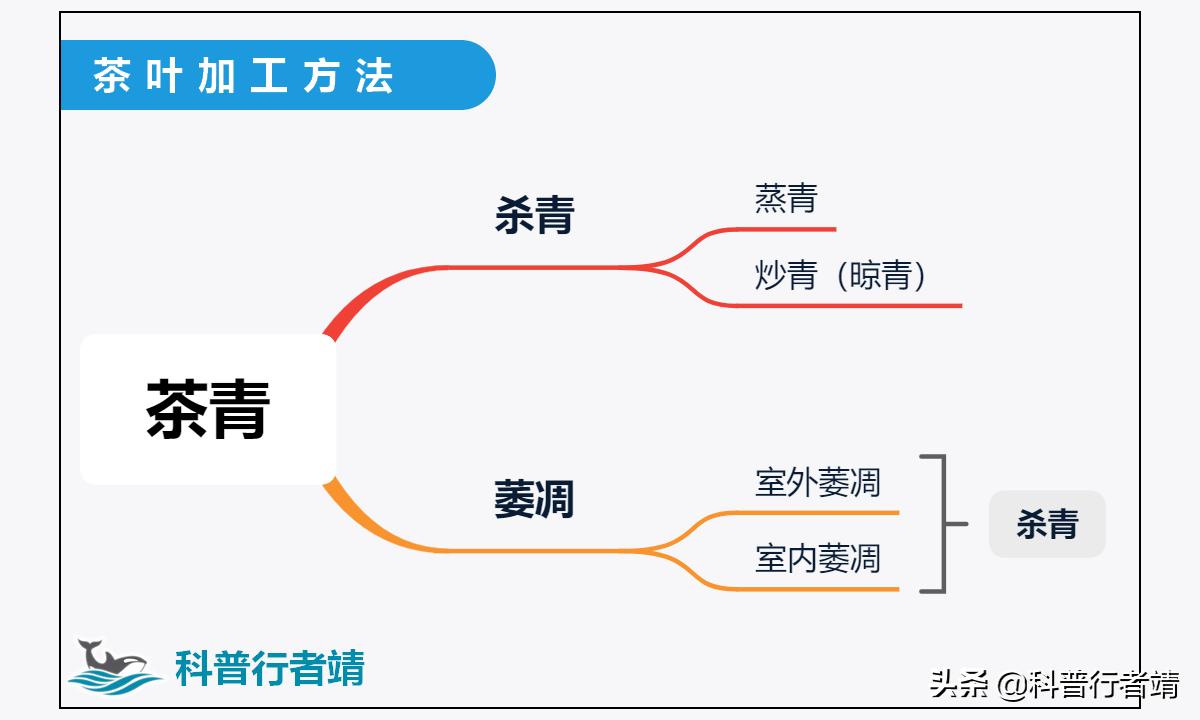 茶叶加工与讲解,茶叶的加工技巧有哪些