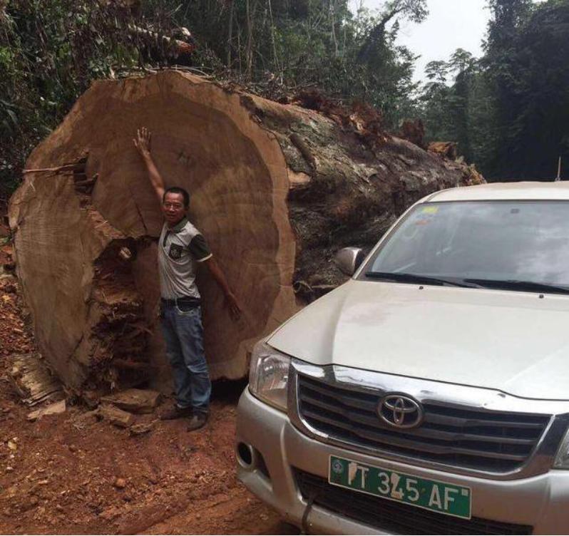 江苏最大家具生产基地,江苏家具制造基地在哪里