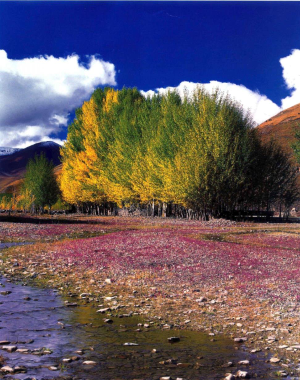 稻城亚丁5月还是7月去,稻城亚丁攻略几月去最好