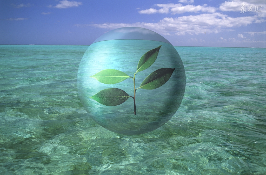 小说：末世将至，他储备了茅台酒九百吨，香烟一百吨，女人一百个