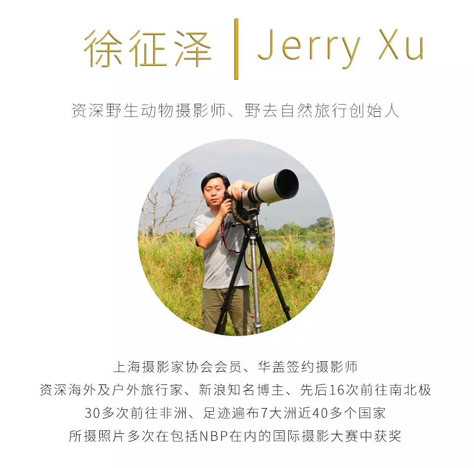 大师评图VOL.59丨“哥斯拉”出没注意！摄影创意无限！