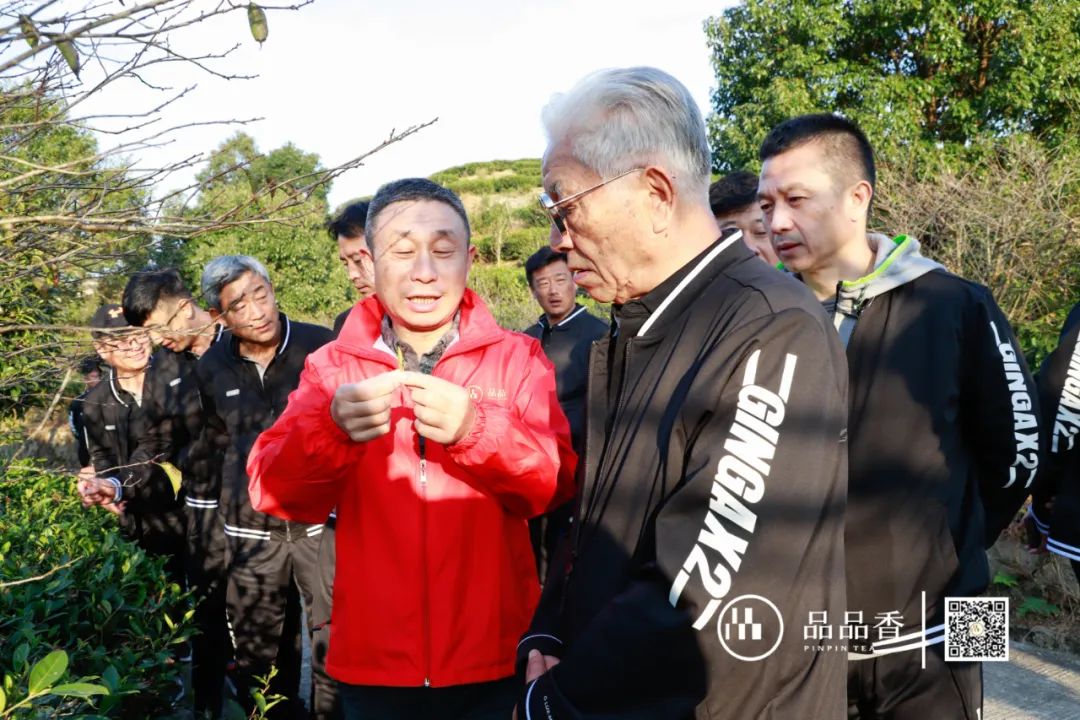 开启白茶之旅，品品香（北京）代表队来啦