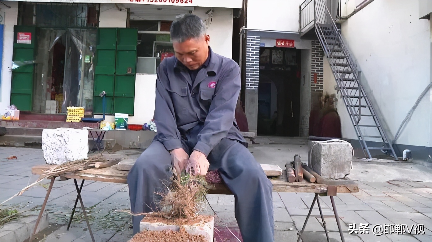 老式扫帚手工,老手艺扎扫帚