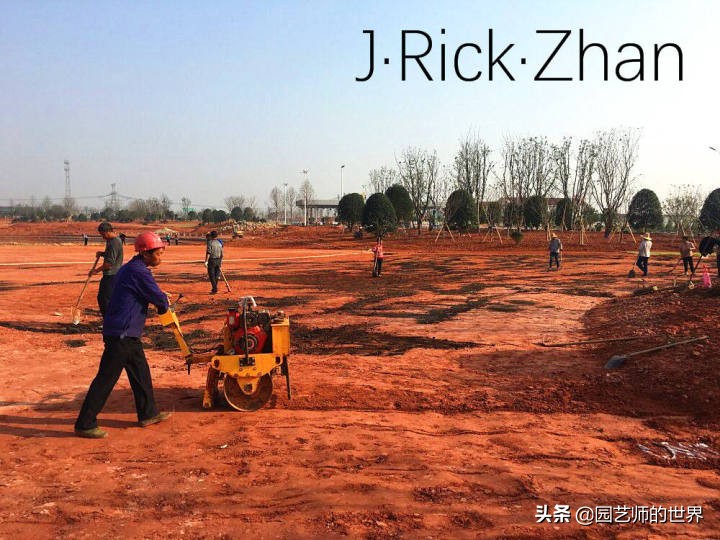 适合北方庭院种植的低矮草坪,家庭庭院怎样混搭种植草坪和蔬菜