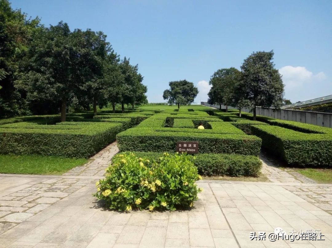 香港亲子游图文攻略图片大全,去香港亲子旅行攻略路线图片