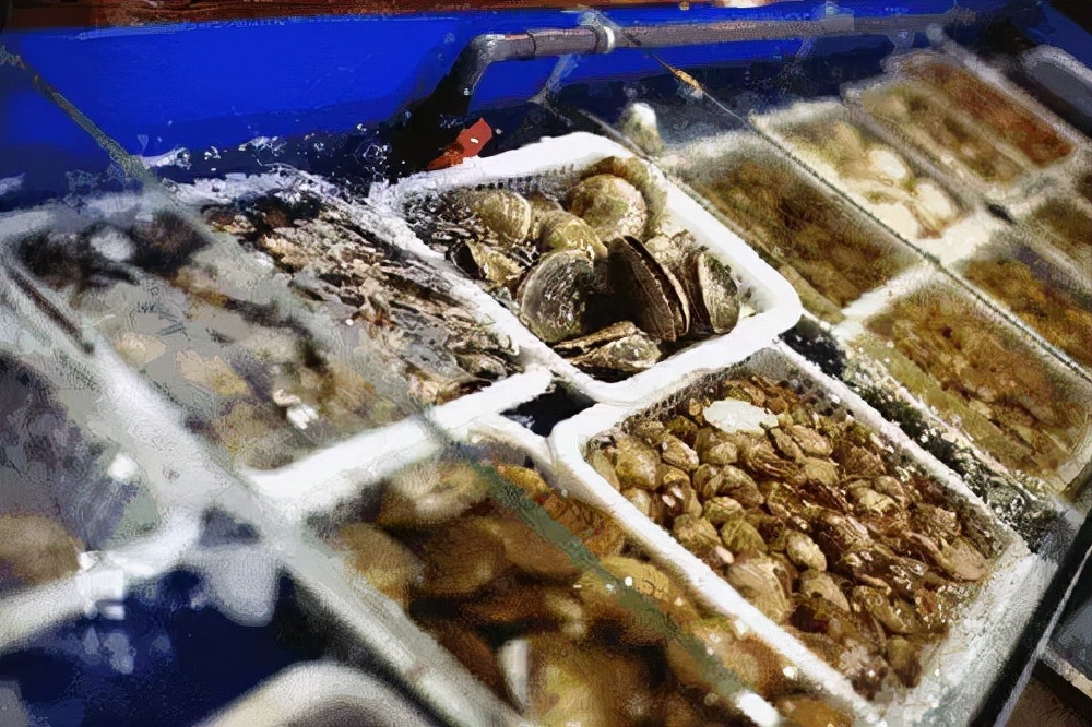 有一种炫富叫辽宁开海,在山东有一种炫富叫开海