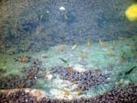 开渔场赚钱吗,开渔场需要多少资金