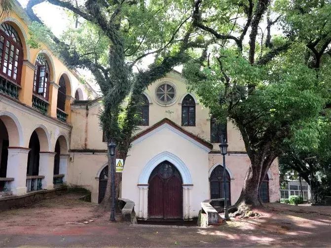 福州丫霸防腐木,福州丫霸婚庆