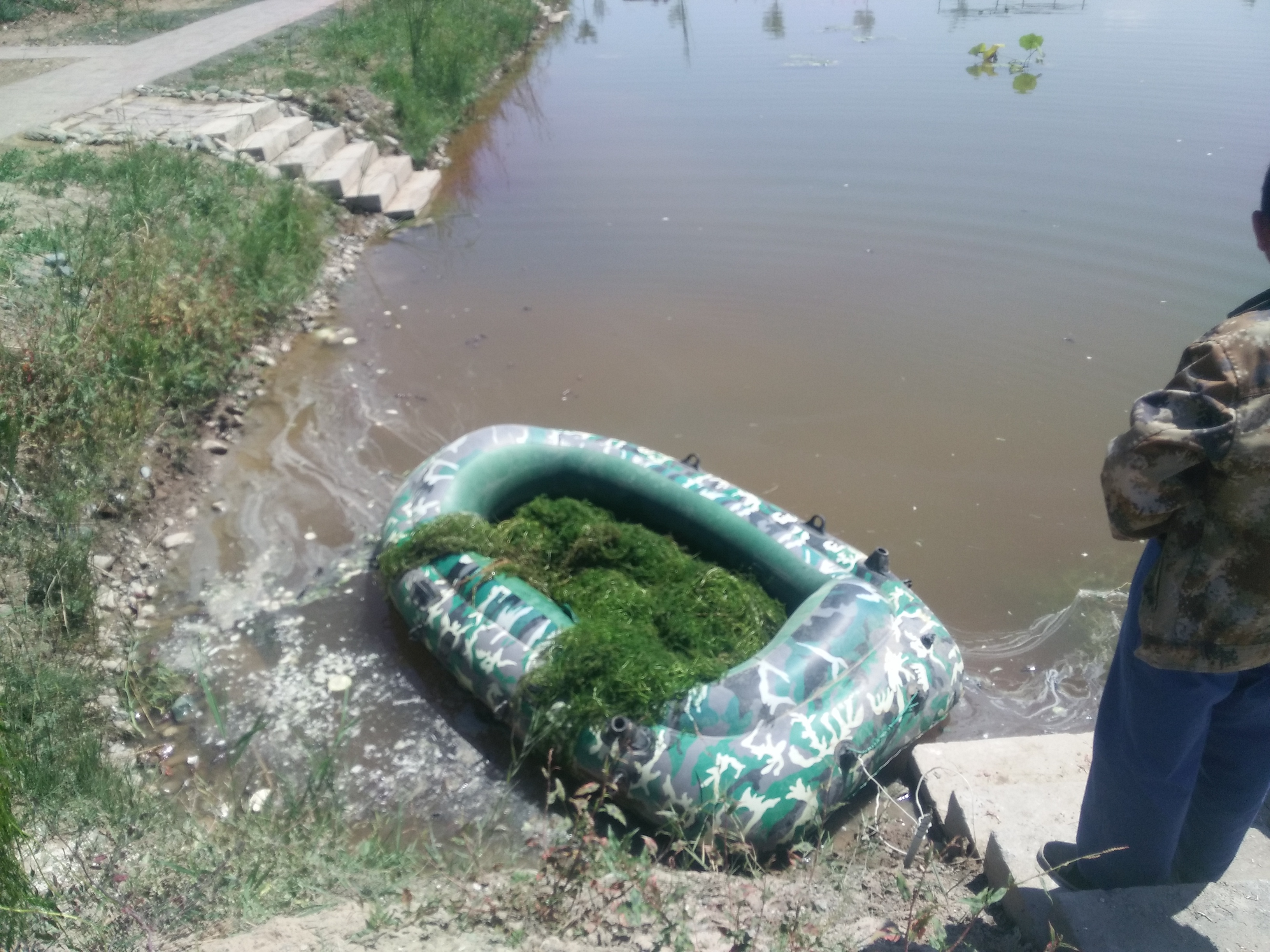 伊乐藻用袋子简单种植,种植伊乐藻的工具