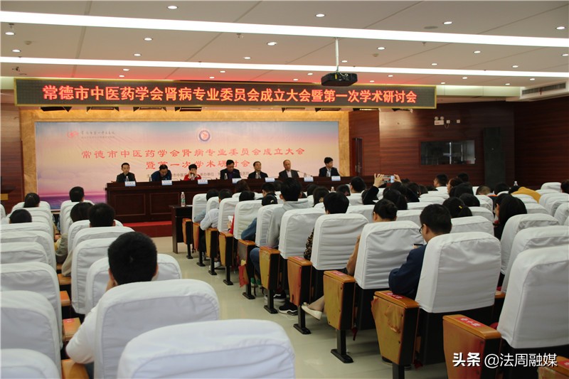 中西医结合肾脏病专业委员会,肾脏病专业委员会