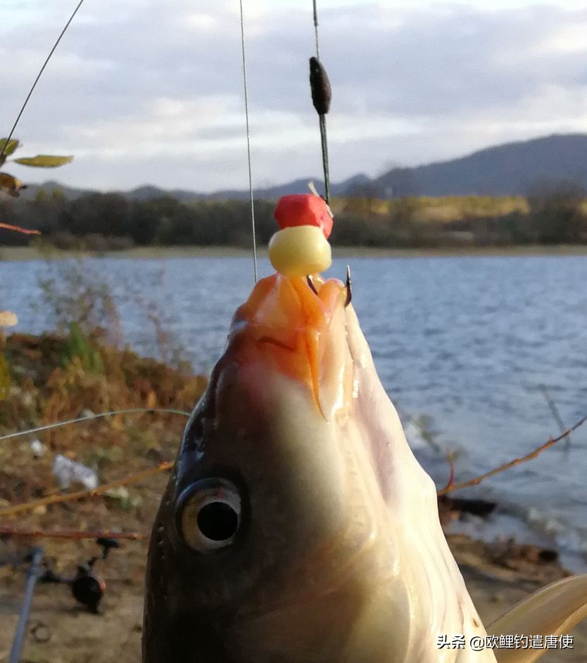 钓鱼也是一种技术,科学钓鱼的基本原理