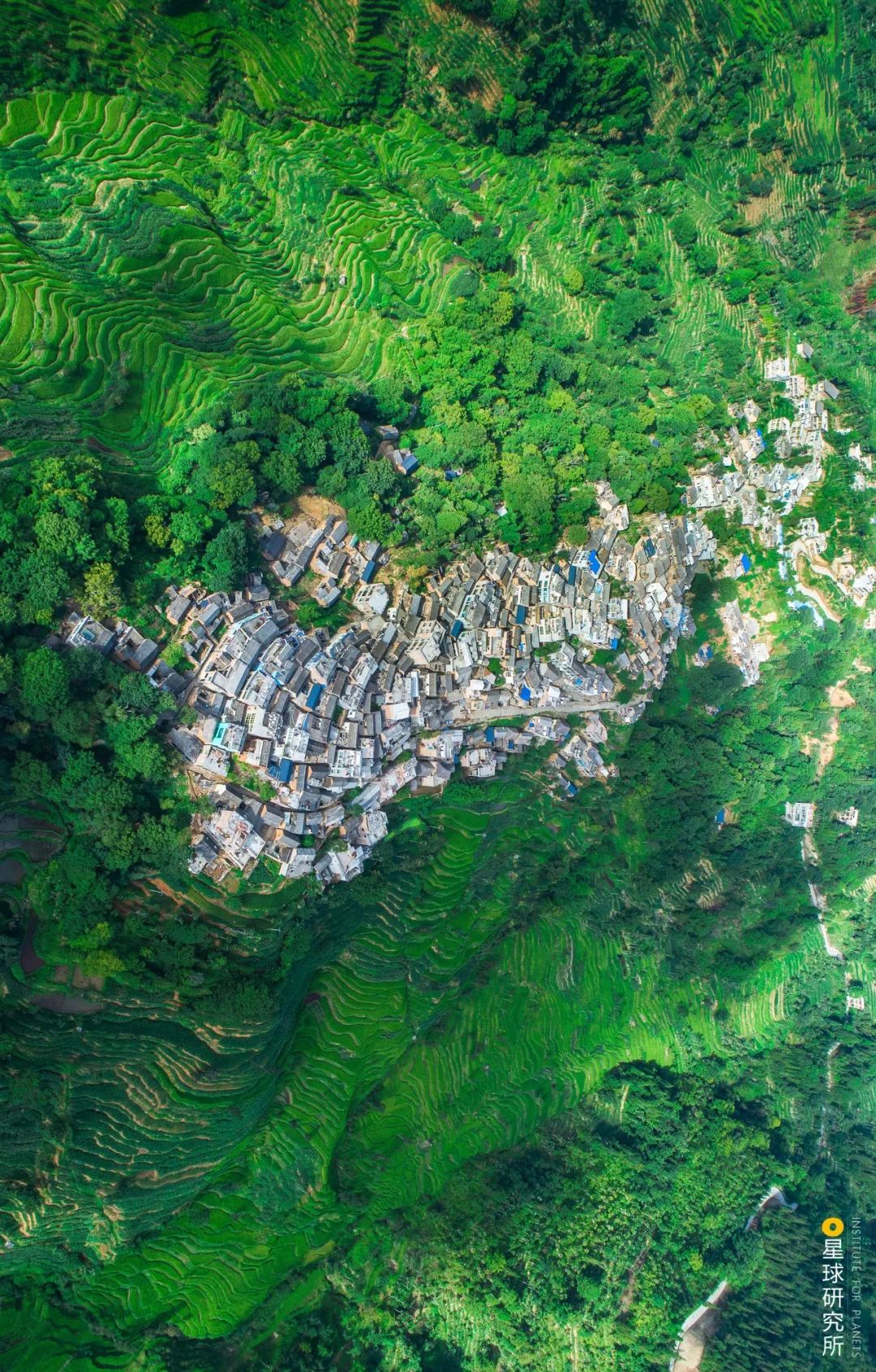 云南红河有什么特色,云南红河乡的风景