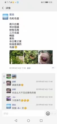 冯家江边发现紫色的鸟蛋，你知道什么鸟产的吗？