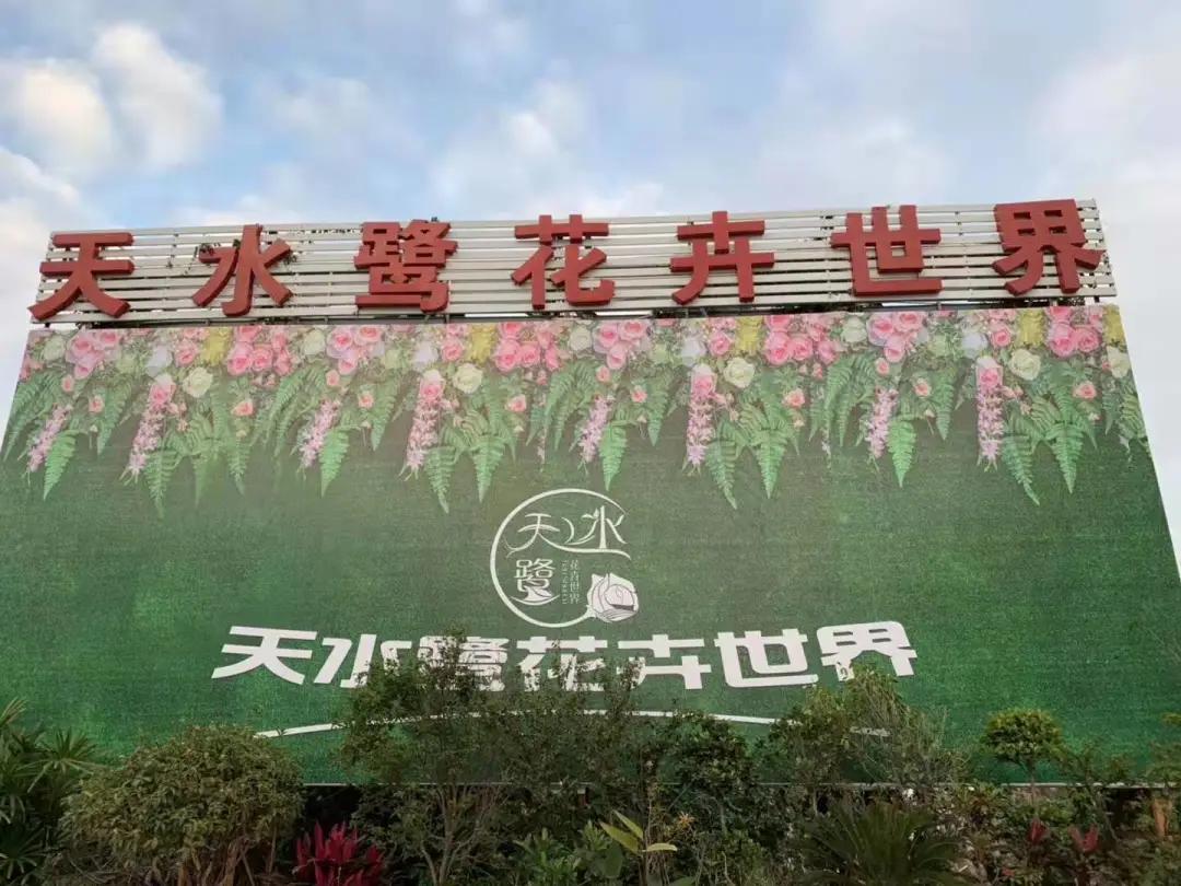 集美的郁金香花海,集美的花卉世界