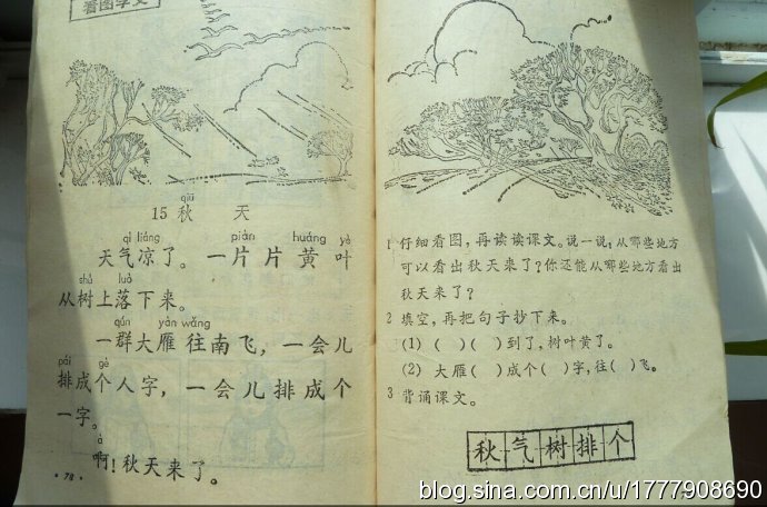五年制小学语文课本80后回忆,80后一代人的上学生活回忆