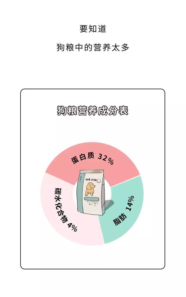 单身有什么不好的吗,单身其实没什么可怕的